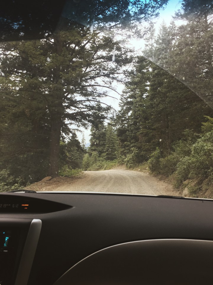 Sunday Drive Playlist