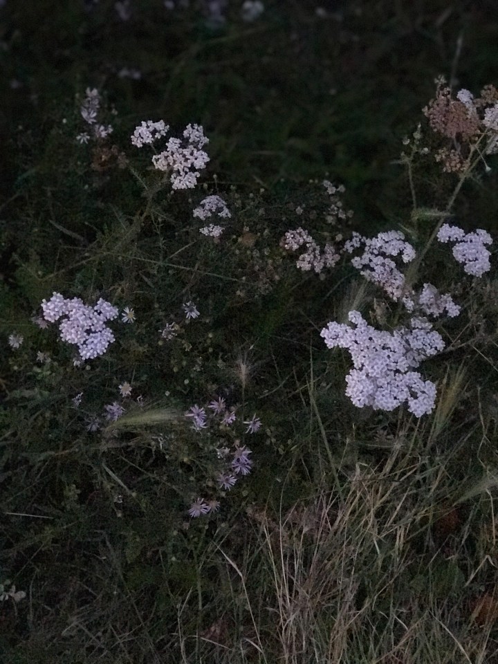 Where am I&nbsp;going?