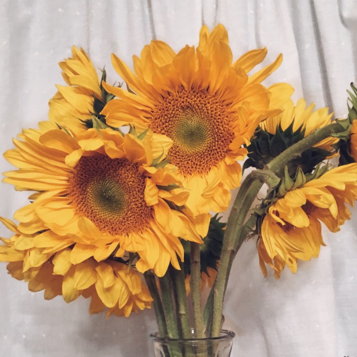 Processed with VSCO with a5 preset